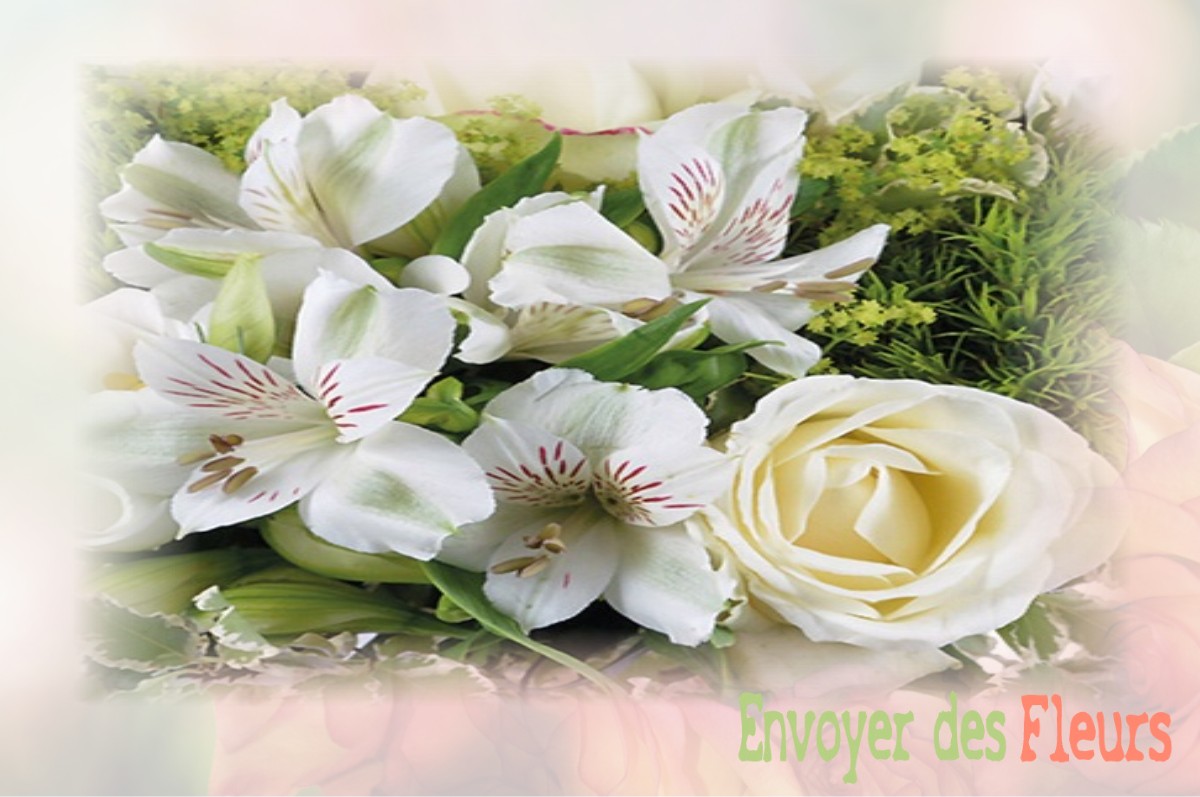 envoyer des fleurs à à VIVIERS-SUR-ARTAUT